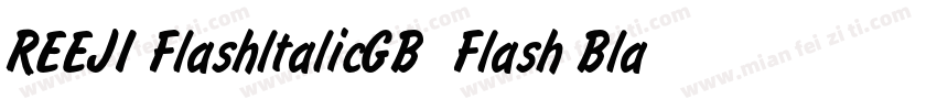 REEJI FlashltalicGB  Flash Black字体转换